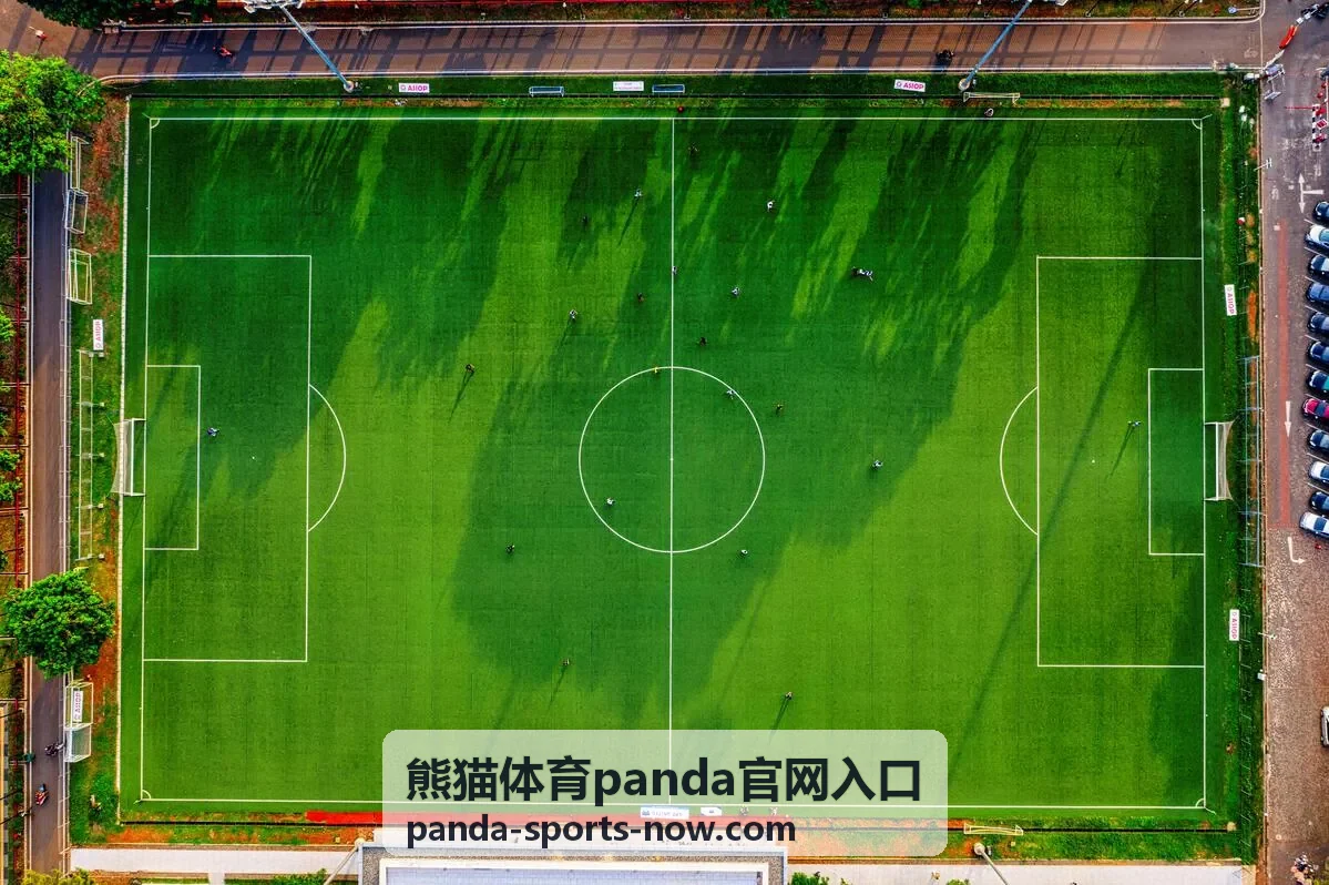 熊猫体育用户头像